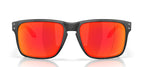 Oakley Holbrook XXL OO9487