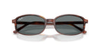 Ray-Ban RB2232