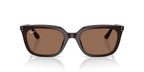 Ray-Ban RB4439D