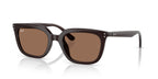 Ray-Ban RB4439D
