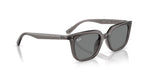 Ray-Ban RB4439D