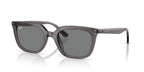 Ray-Ban RB4439D