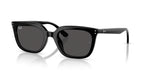 Ray-Ban RB4439D