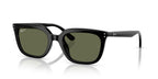 Ray-Ban RB4439D