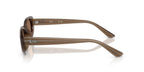 Ray-Ban RB4441D