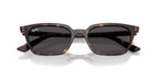 Ray-Ban Zaya RB4456