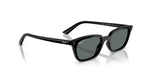 Ray-Ban Zaya RB4456