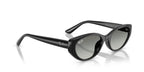 Ray-Ban RB4457D