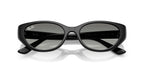 Ray-Ban RB4457D