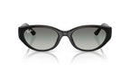 Ray-Ban RB4457D