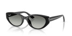 Ray-Ban RB4457D
