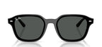 Ray-Ban RB4458D