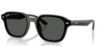 Ray-Ban RB4458D