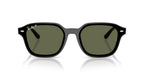 Ray-Ban RB4458D