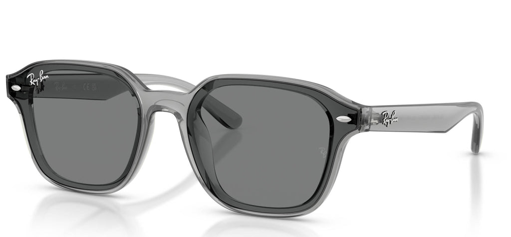 Ray-Ban RB4458D