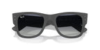 Ray-Ban RB4840S