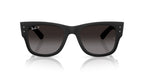 Ray-Ban RB4840S