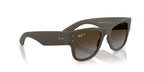 Ray-Ban RB4840S