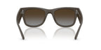 Ray-Ban RB4840S