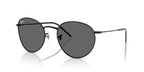 Ray-Ban Round Reverse RBR0103S