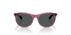 Ray-Ban Kids RJ9082S