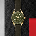 Black Bay 58 18K Yellow-Gold 39mm - Green on Leather Strap w/ Extra Fabric Strap