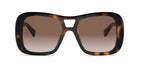 CELINE Triomphe CL40331U