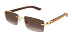 Cartier CT0582S