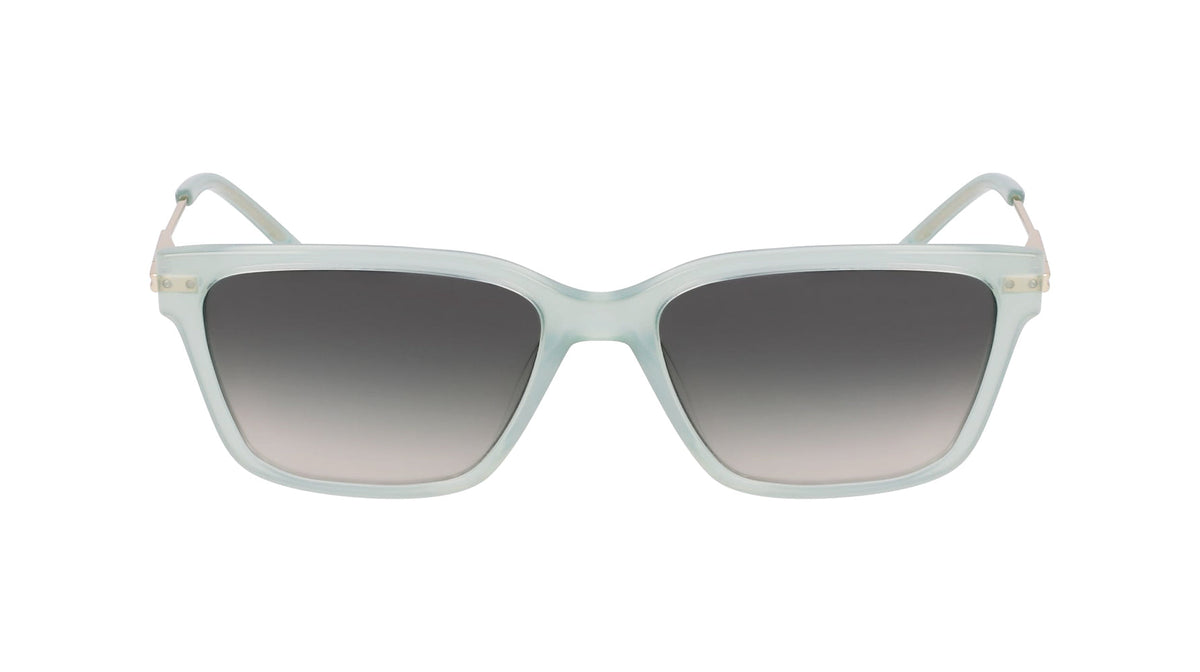 DKNY DK713S