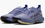 Women's Nike Pegasus Trail 5 GTX (CLEARANCE)
