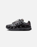 Nike P-6000 Ash