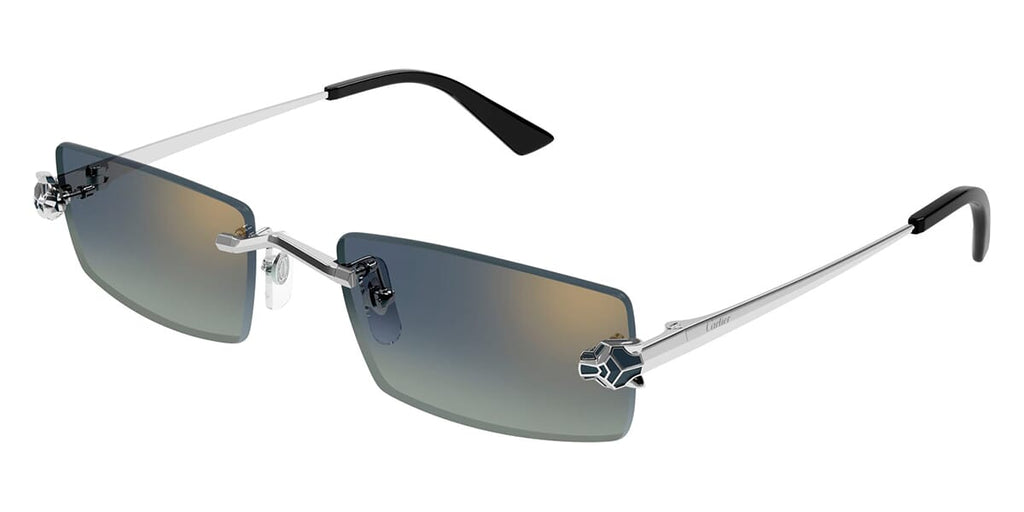 Cartier CT0598S