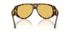 Dolce&Gabbana DG4499