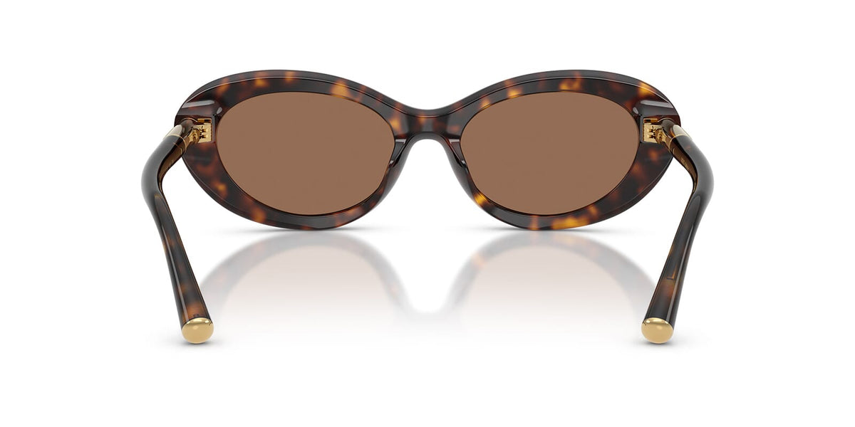 Dolce&Gabbana DG4519