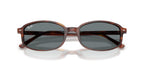 Ray-Ban RB2232
