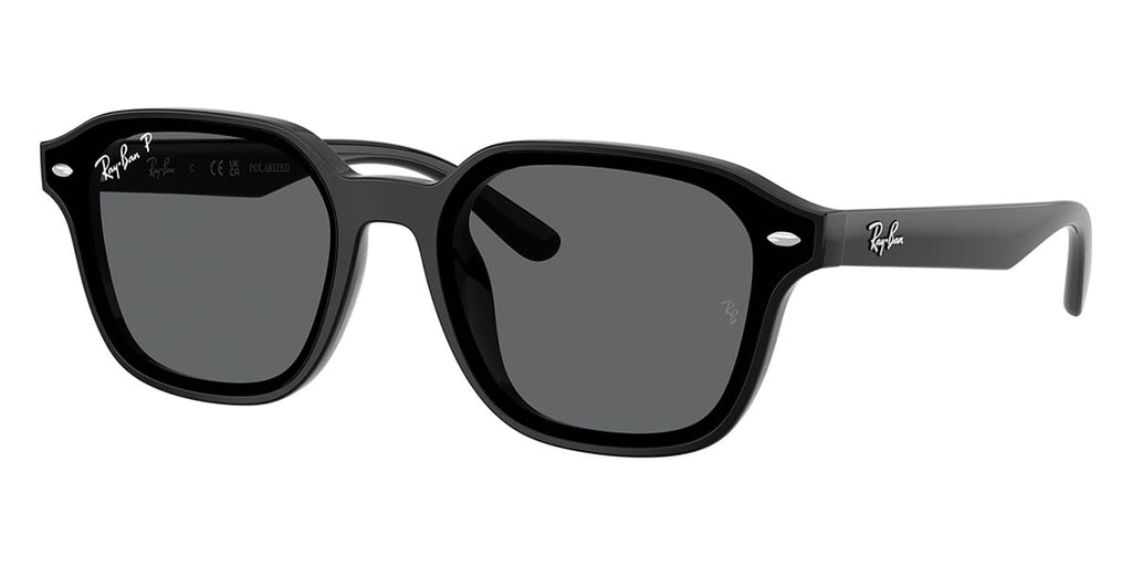 Ray-Ban RB4458D