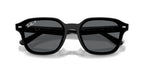 Ray-Ban RB4458D