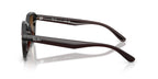 Ray-Ban RB4458D