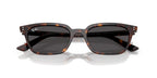 Ray-Ban Zaya RB4456