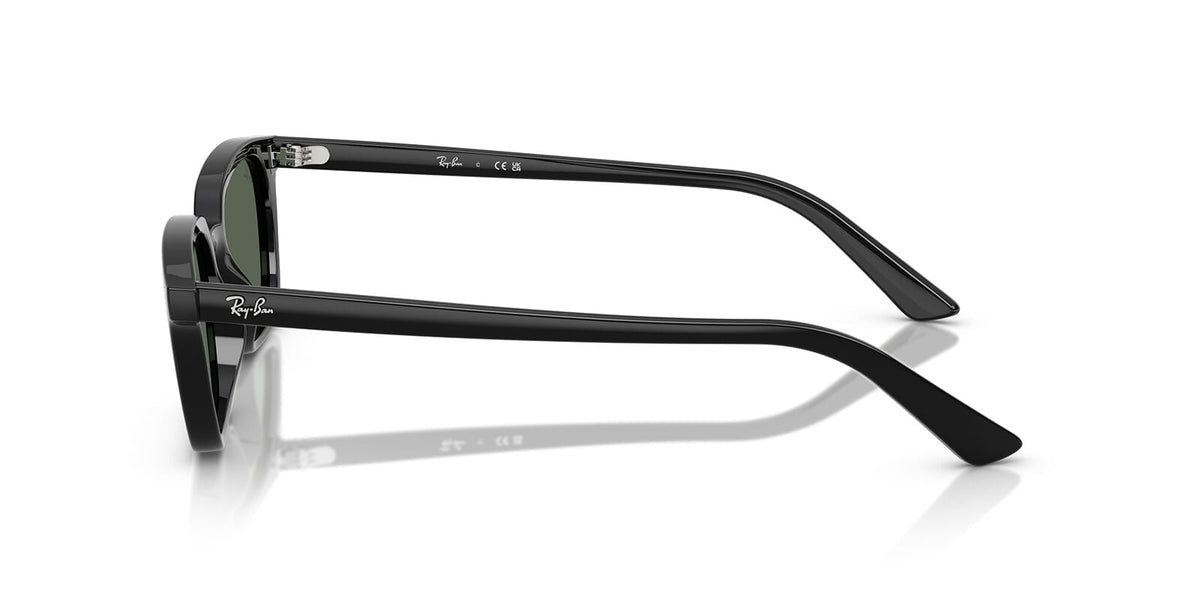 Ray-Ban Zaya RB4456