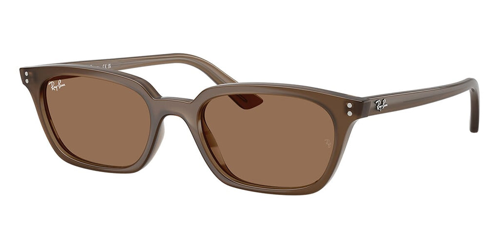 Ray-Ban Zaya RB4456