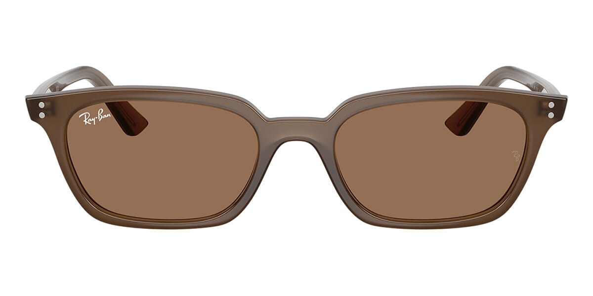 Ray-Ban Zaya RB4456
